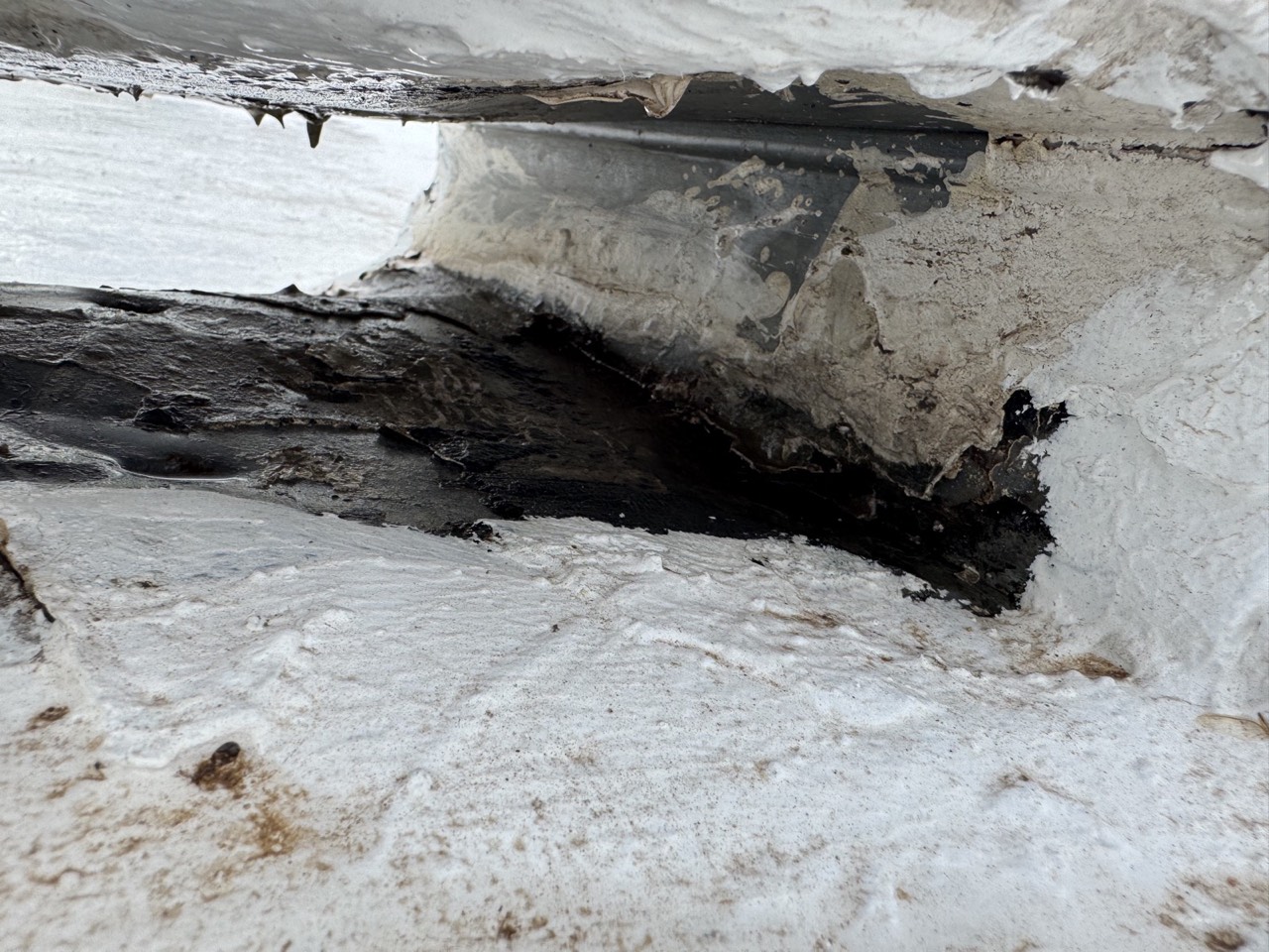 Roof coating peeling back at an edge, revealing an older roofing membrane underneath
